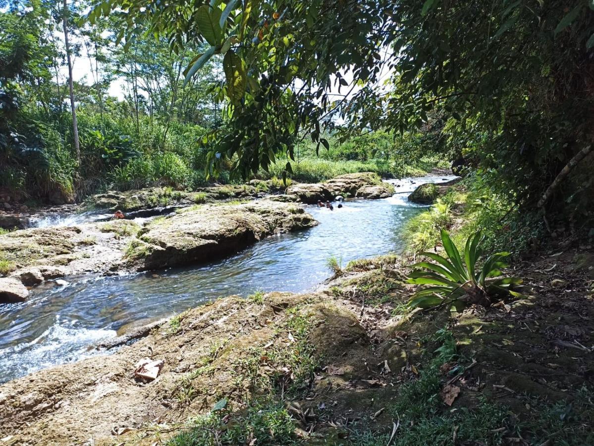 Villa Ceiba La Fortuna Extérieur photo