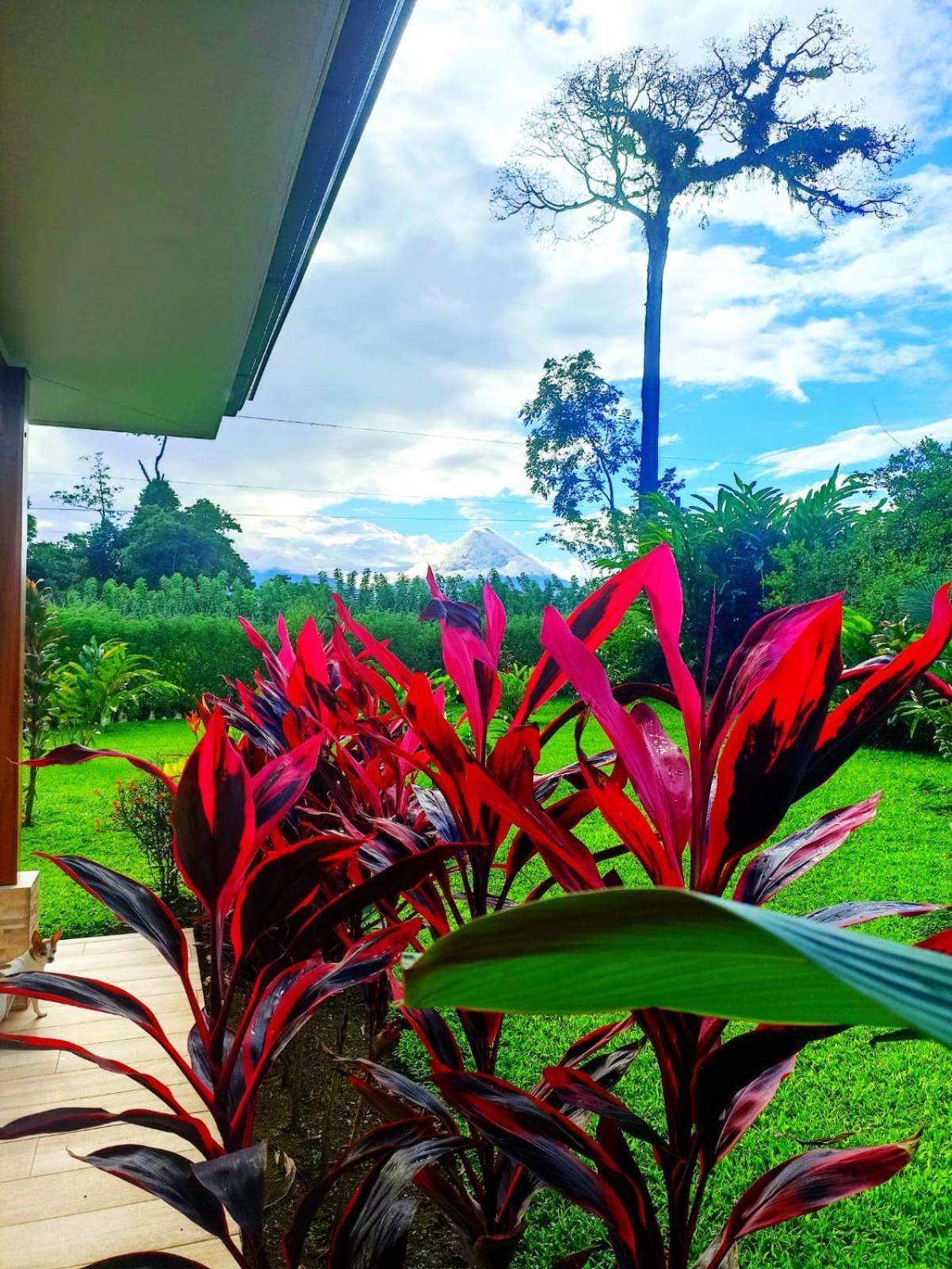 Villa Ceiba La Fortuna Extérieur photo