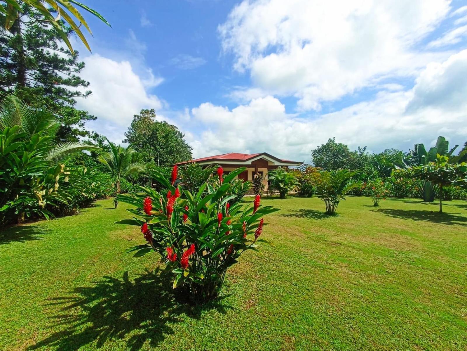 Villa Ceiba La Fortuna Extérieur photo