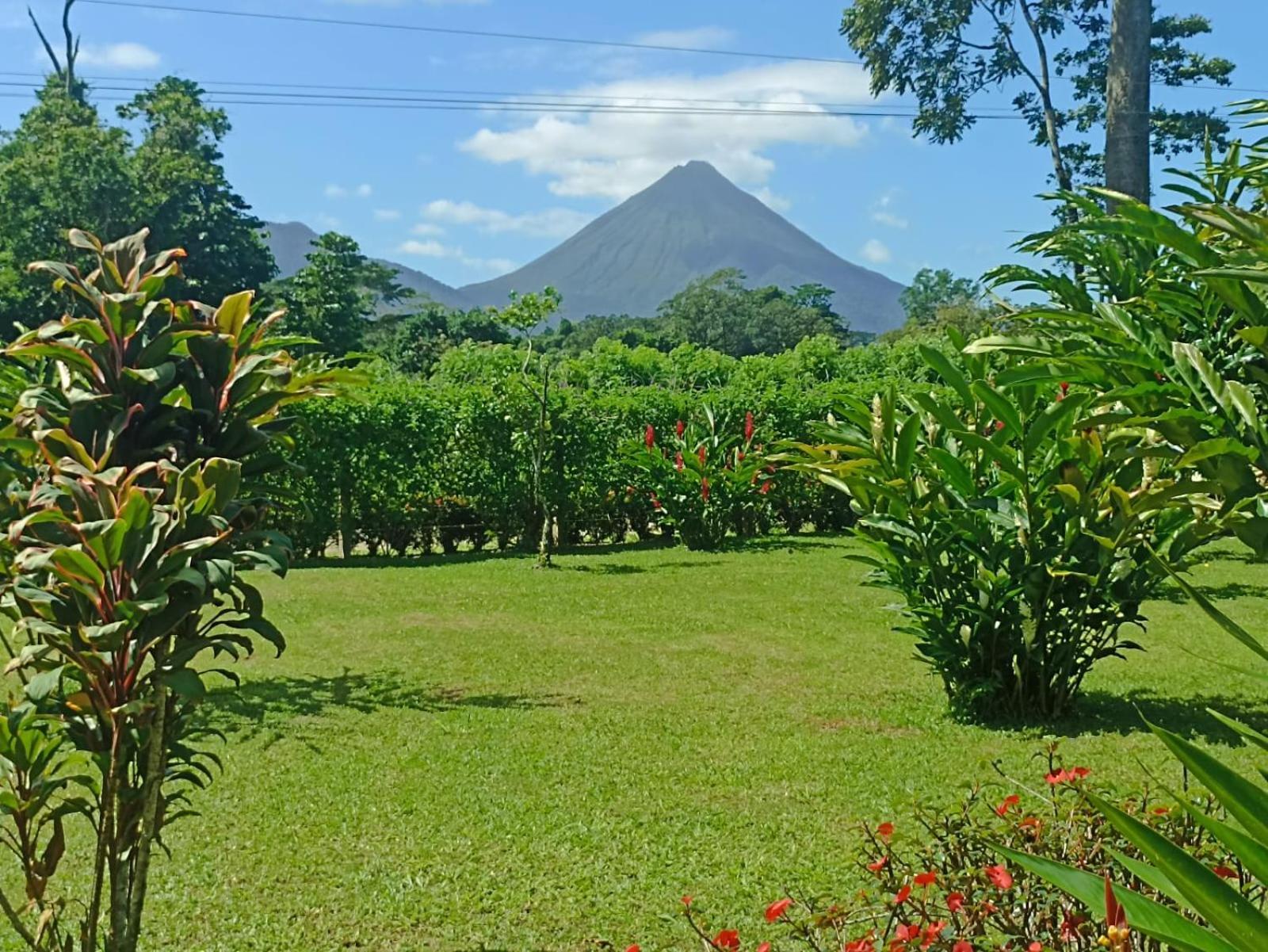 Villa Ceiba La Fortuna Extérieur photo